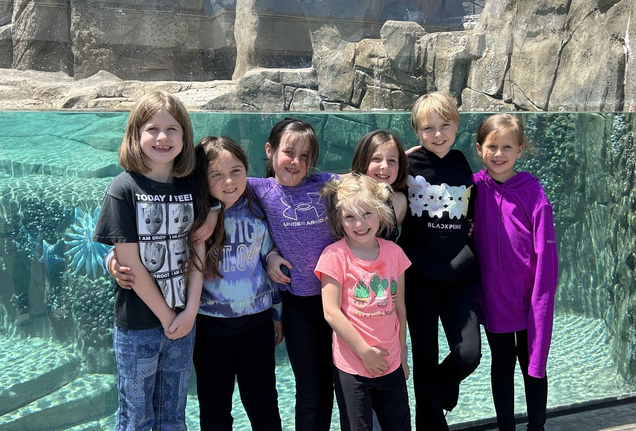 zoo
