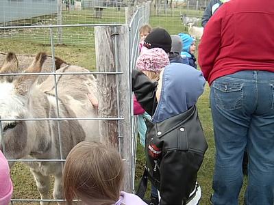 Schuster's Farm - Photo Number 4