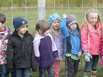 Schuster's Farm - Photo Number 5