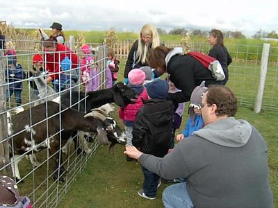 Schuster's Farm - Photo Number 9