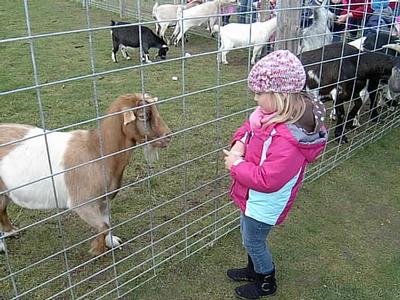 Schuster's Farm - Photo Number 10