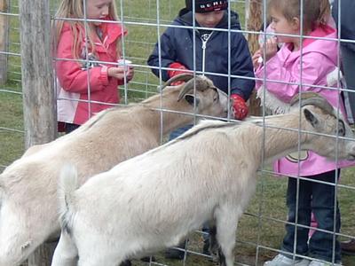 Schuster's Farm - Photo Number 11