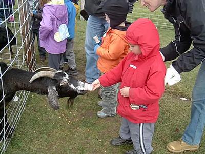 Schuster's Farm - Photo Number 12