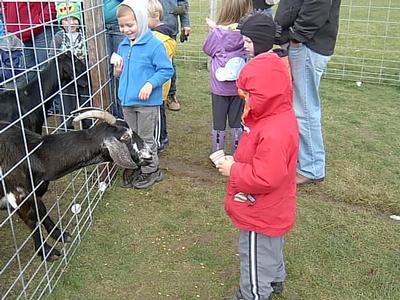 Schuster's Farm - Photo Number 14