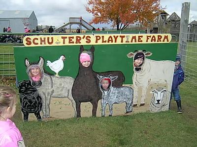 Schuster's Farm - Photo Number 13