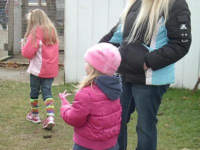 Schuster's Farm - Photo Number 15