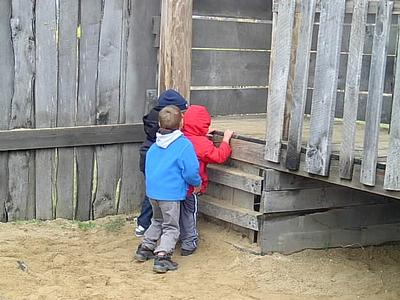 Schuster's Farm - Photo Number 38