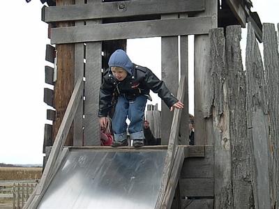 Schuster's Farm - Photo Number 42