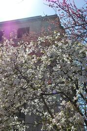 DC 2010 - Day 1 - Photo Number 6