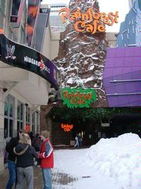 Rainforest Cafe