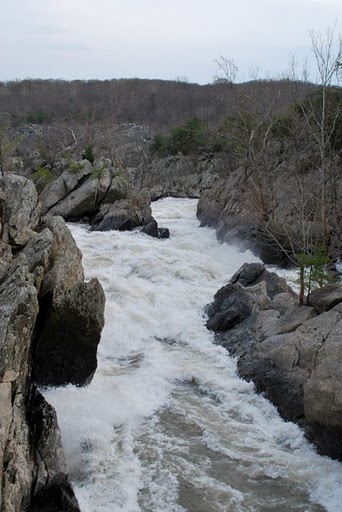 DC 2010 Day 2 - Photo Number 17