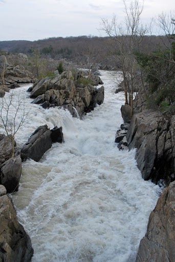 DC 2010 Day 2 - Photo Number 18