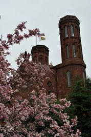 DC 2010 Day 3 - Photo Number 2