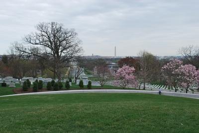 DC 2010 Day 3 - Photo Number 4