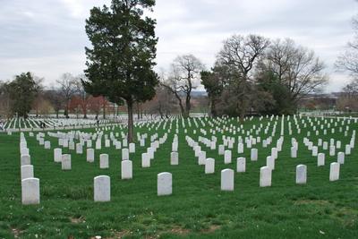 DC 2010 Day 3 - Photo Number 6