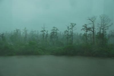 Wednesday - New Orleans Day 1 - Photo Number 23