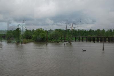 Wednesday - New Orleans Day 1 - Photo Number 24