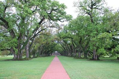 New Orleans - Day 2 - Photo Number 6