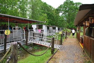 New Orleans - Day 3 - Photo Number 2