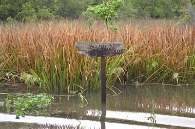 New Orleans - Day 3 - Photo Number 7