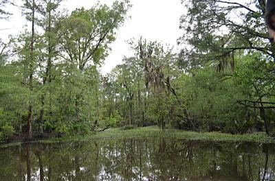 New Orleans - Day 3 - Photo Number 10