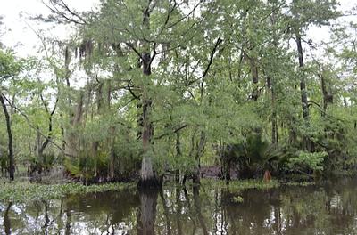 New Orleans - Day 3 - Photo Number 13