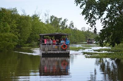 New Orleans - Day 3 - Photo Number 15