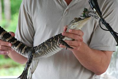 New Orleans - Day 3 - Photo Number 18