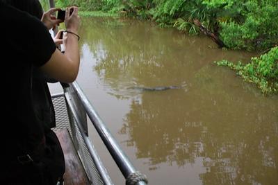 New Orleans - Day 3 - Photo Number 24