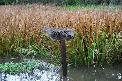 New Orleans - Day 3 - Photo Number 26