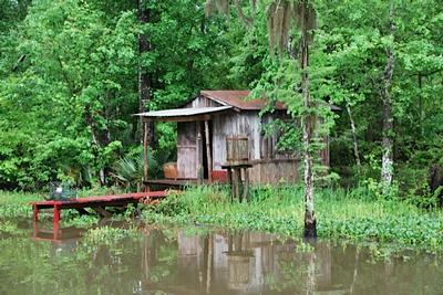 New Orleans - Day 3 - Photo Number 27