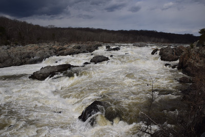 DC Day 2 - Photo Number 5