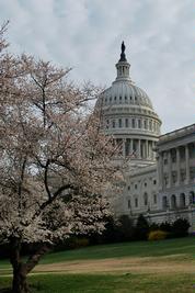 DC 2010 Day 2 - Photo Number 4